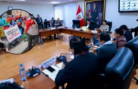 Comisin de Energa y Minas no aprueba predictamen de la Ley Mape.