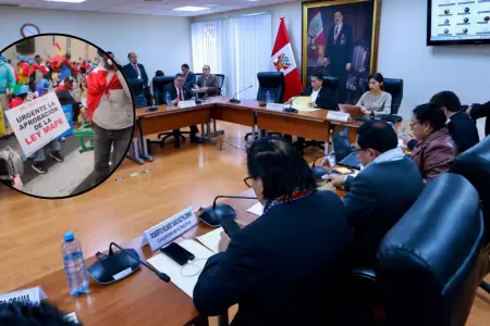 Comisin de Energa y Minas no aprueba predictamen de la Ley Mape.