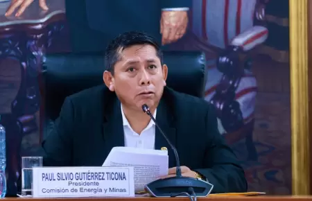 Presidente de la Comisin de Energa y Minas - Paul Gutirrez.