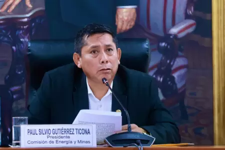 Presidente de la Comisin de Energa y Minas - Paul Gutirrez.