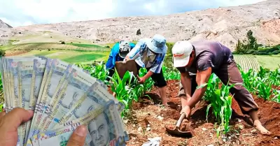 Bono Agrario 2025 de Midagri.