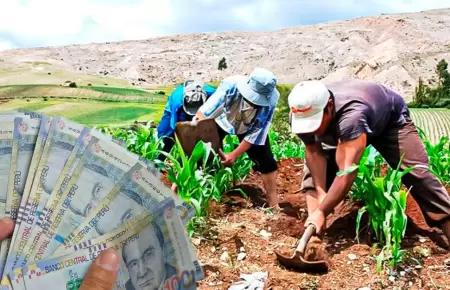 Bono Agrario 2025 de Midagri.