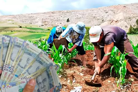Bono Agrario 2025 de Midagri.