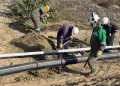Derrame de petróleo en Piura: Fiscalía inicia investigación preliminar contra Petroperú