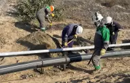 Derrame de petrleo en Piura: Fiscala inicia investigacin preliminar contra Petroper