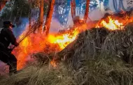 Emiten nueva alerta de posible ocurrencia de incendios forestales en nueve regiones del Per