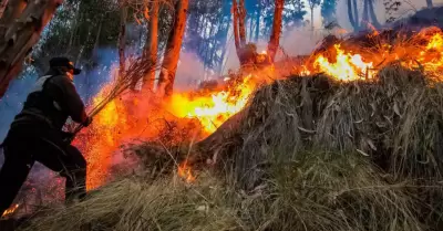 Advierten condiciones que podrían originar incendios forestales en la sierra y l