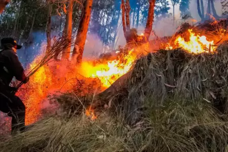 Advierten condiciones que podran originar incendios forestales en la sierra y l