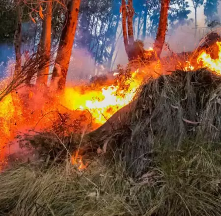 Advierten posibles incendios forestales en la sierra y selva.