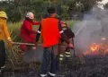 Extinguen incendios forestales suscitados en Apurmac, Cusco y Ucayali