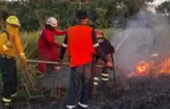 Extinguen incendios forestales suscitados en Apurmac, Cusco y Ucayali