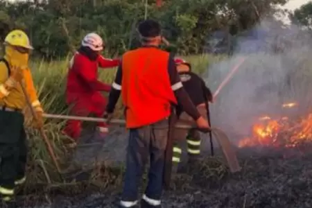 Confirman la extincin de dos incendios forestales originados en Apurmac, Cusco