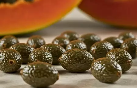 Papaya