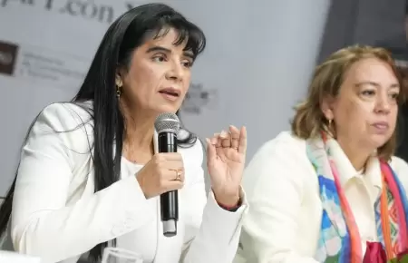Ministra Desil Len advierte prdidas millonarias en el sector turismo.