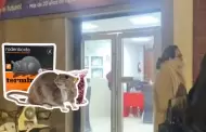 Tacna: Una escolar de 9 aos fue ENVENENADA dentro de su colegio e investigaciones apuntan a su compaera