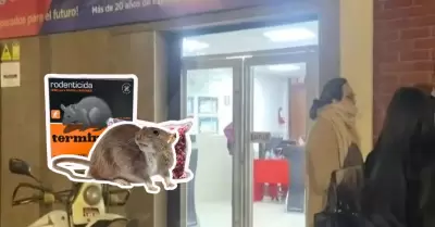Una niña fue envenenada en su colegio