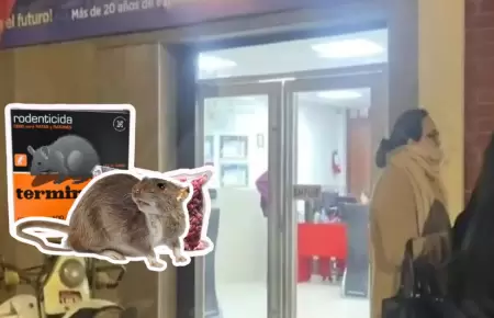 Una nia fue envenenada en su colegio