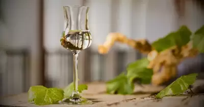 Pisco