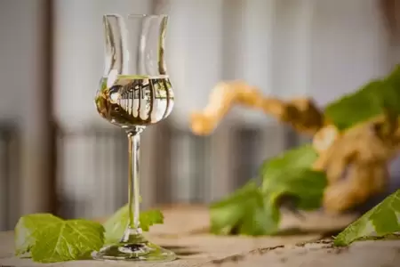 Pisco