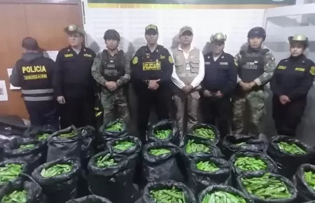Incautan ms de 20 000 cartuchos de explosivos en Pataz.