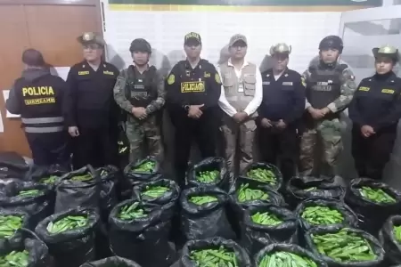 Incautan ms de 20 000 cartuchos de explosivos en Pataz.