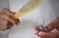 Cmo frenar la cada del cabello de forma natural? Conoce AQU los remedios ms efectivos