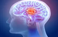 Distingues la realidad de la ficcin? Neurocientficos hallan lo que ocurre en el cerebro durante este proceso
