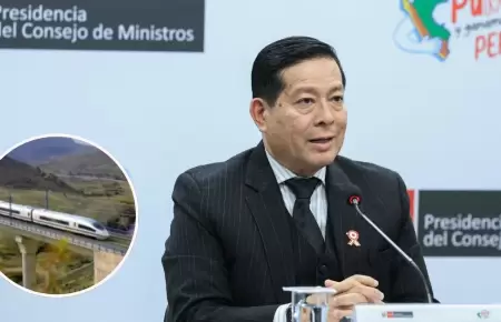 Gobierno no descarta Tren Biocenico