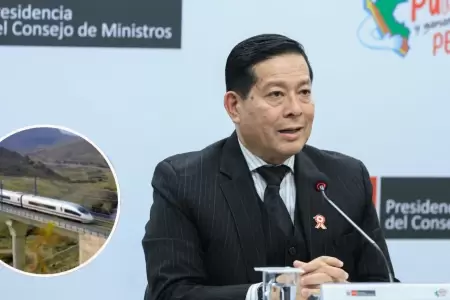 Gobierno no descarta Tren Biocenico