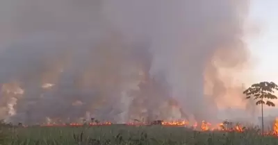 Incendio forestal afect a cuatro caseros en Ucayali.