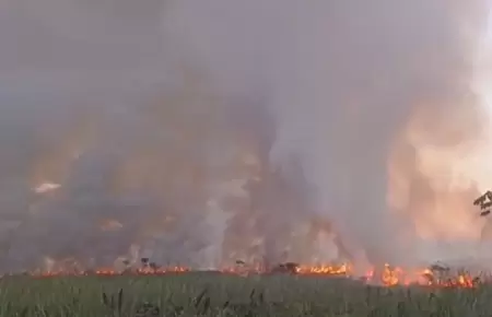 Incendio forestal afect a cuatro caseros en Ucayali.