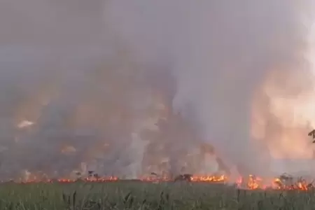Incendio forestal afect a cuatro caseros en Ucayali.
