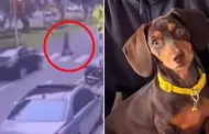 Miraflores: Mujer que paseaba a perrita termina en UCI tras ser atropellada por conductora que se dio a la fuga