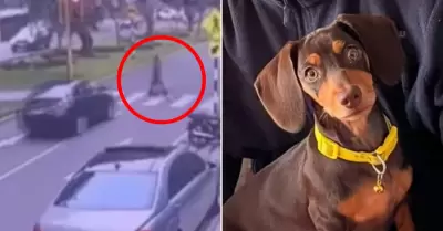 Mujer en UCI tras ser atropellada en Miraflores