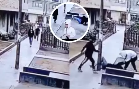 Delincuentes golpearon a universitaria para robarle en SJL