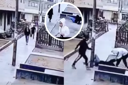 Delincuentes golpearon a universitaria para robarle en SJL