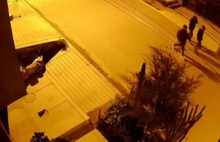 Delincuentes roban $ 30 mil a cambista en Arequipa