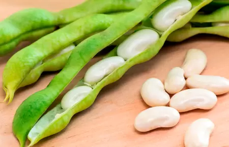 Beneficios del consumo de habas