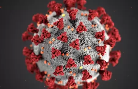 Detectan nueva variante de la COVID-19 en Brasil.
