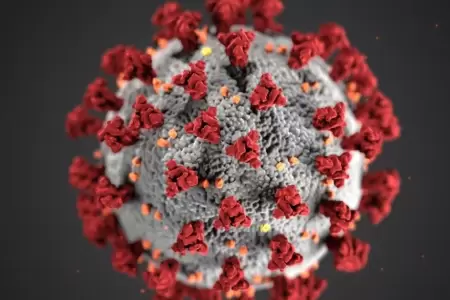 Detectan nueva variante de la COVID-19 en Brasil.