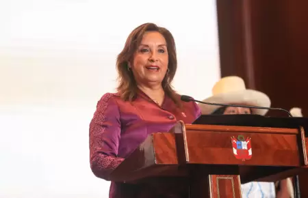 SAC archiv denuncia contra Dina Boluarte por muertes en protestas