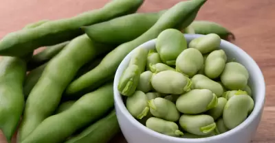 Beneficios del consumo de habas