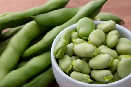 Beneficios del consumo de habas