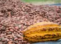 Rueda de negocios del CACAO busca generar ms de S/ 10 millones en compromisos comerciales