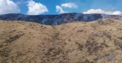 Extinguen incendio forestal en Cusco.