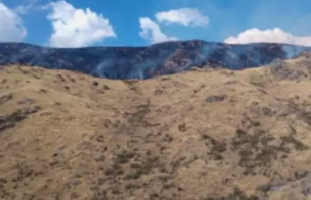Extinguen incendio forestal en Cusco.