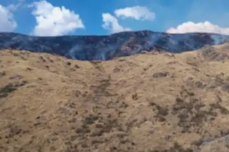 Extinguen incendio forestal en Cusco.