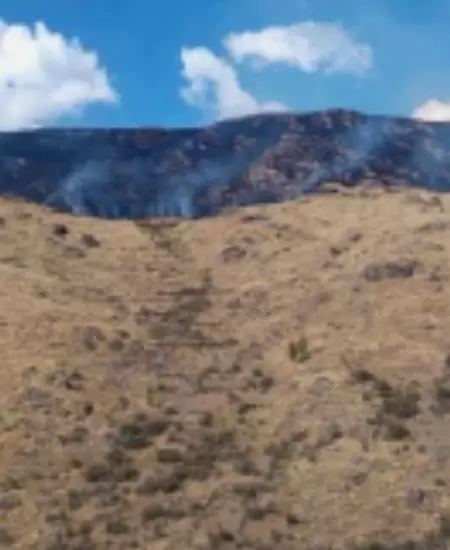 Extinguen incendio forestal en Cusco.