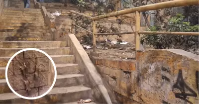 Roedores y contaminación en puente peatonal de Santa Anita