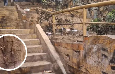 Roedores y contaminacin en puente peatonal de Santa Anita